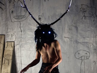 When Animals Dream of Sheep - Auckland Fringe