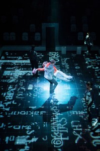 Curious incident of the dog in the night-time